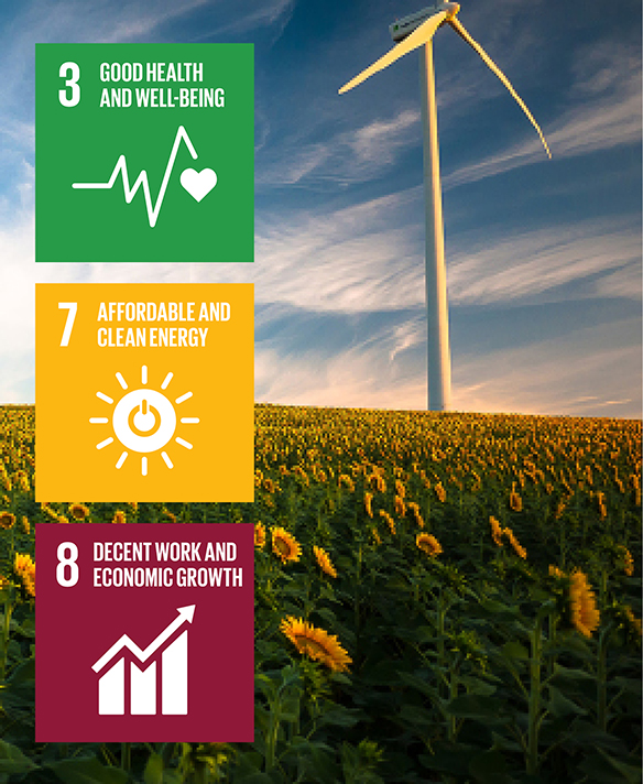 Sustainable development goals